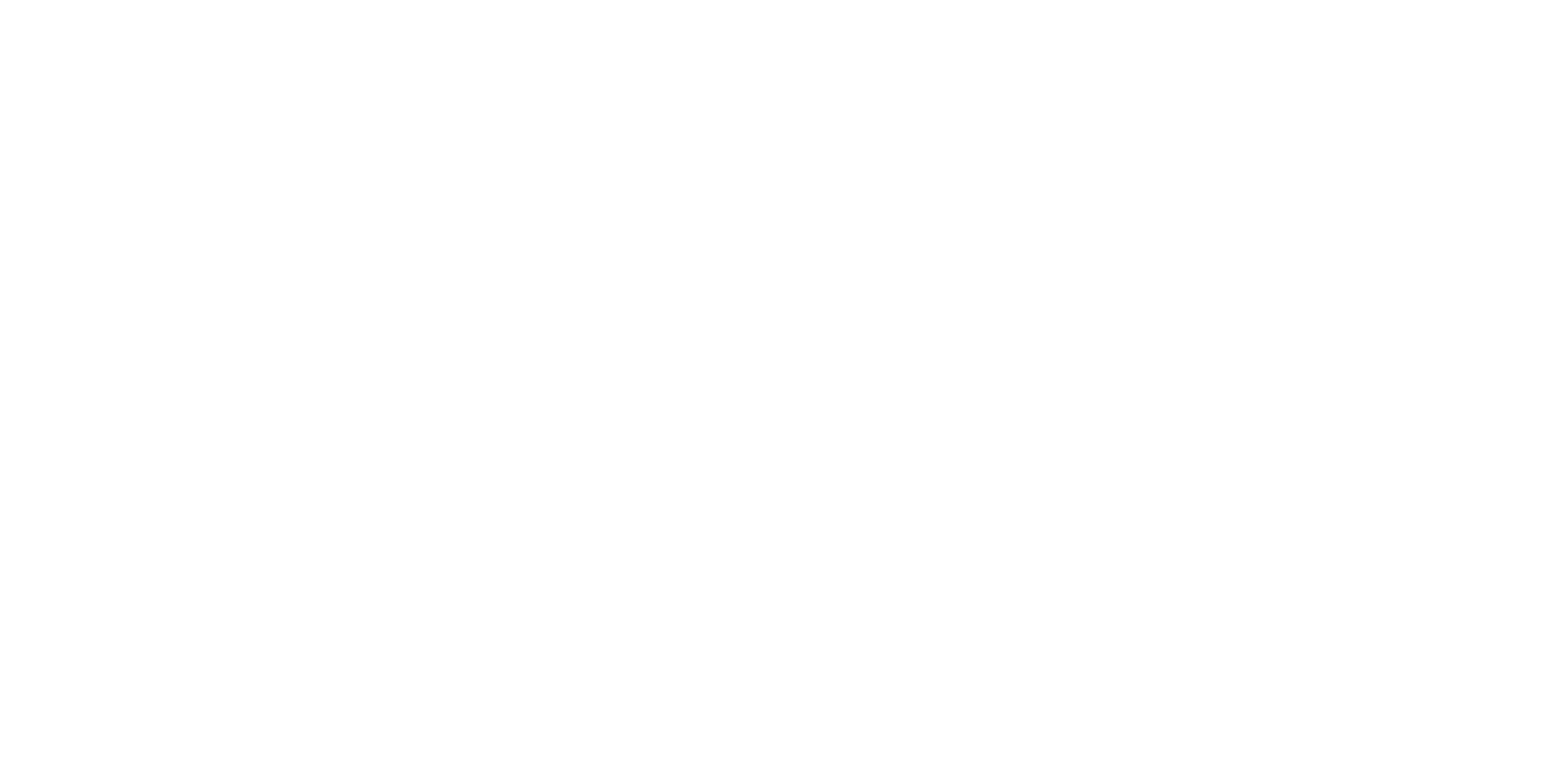 Salute Group